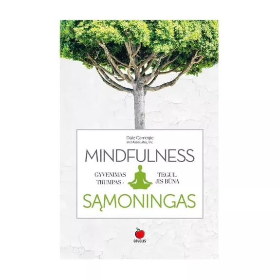 MINDFULNESS, Gyvenimas trumpas, tegul jis būna SĄMONINGAS - Dale Carnegie, knyga