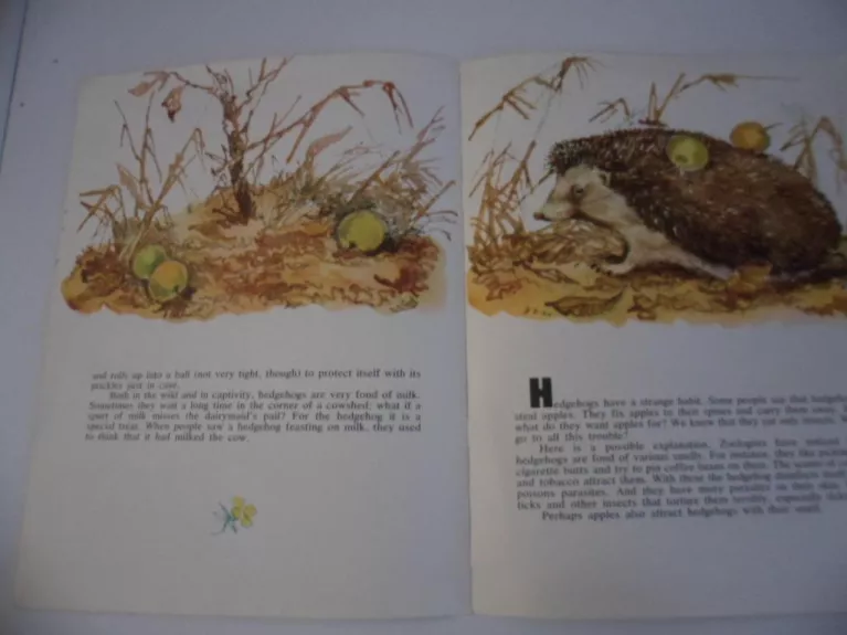 there was once a hedgehog - I. Akimushkin, knyga 1