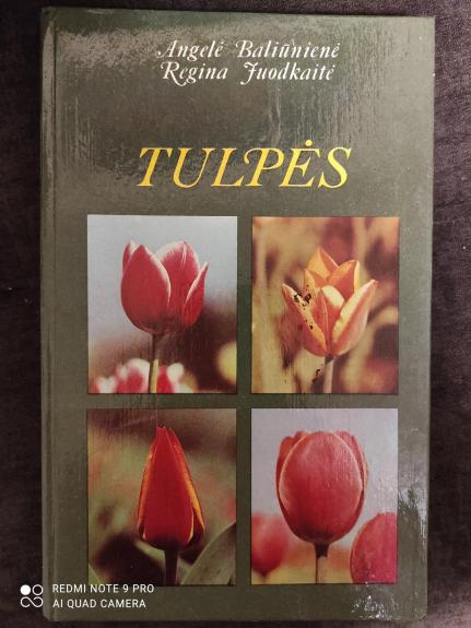 Tulpės
