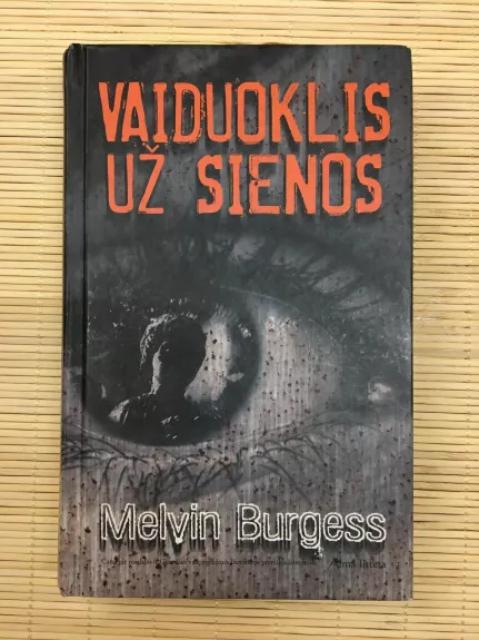 vaiduoklis uz sienos - Melvin Burgess, knyga