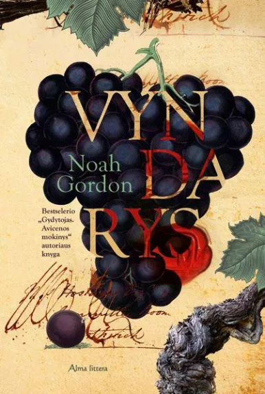 Vyndarys - Gordon Noah, knyga