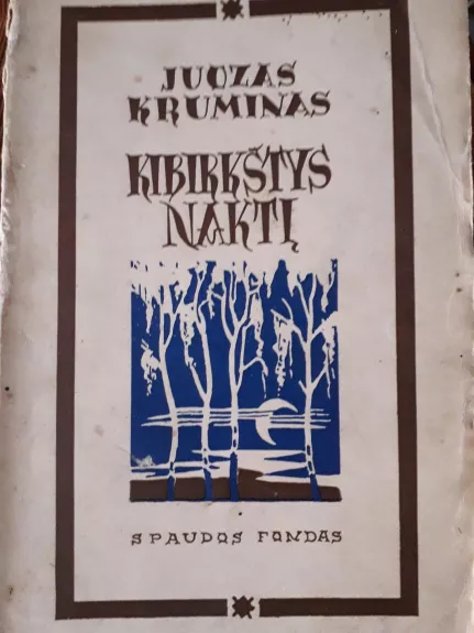 Kibirkštys naktį