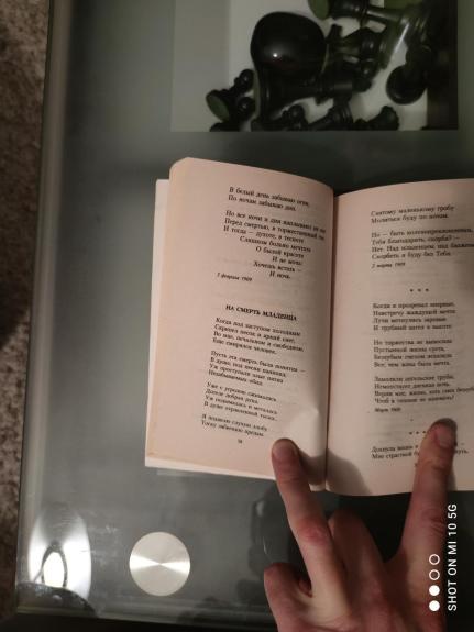 Ночь, улица, фонарь, аптека... - Александр Блок, knyga 1