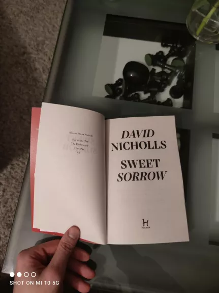 sweet sorrow - David Nicholls, knyga 1