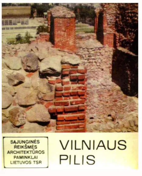 Vilniaus pilis - Eduardas Budreika, knyga