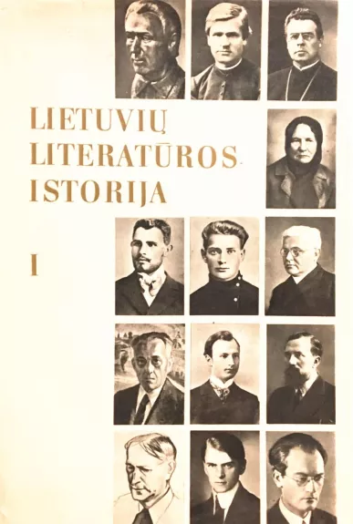 Lietuvių literatūros istorija (2 tomai) - Autorių Kolektyvas, knyga