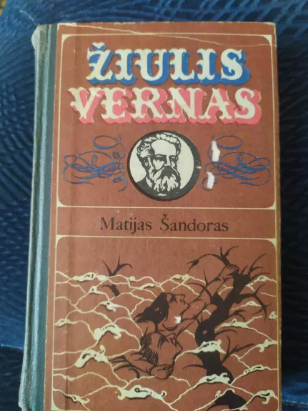 Matijas Šandoras - Žiulis Vernas, knyga