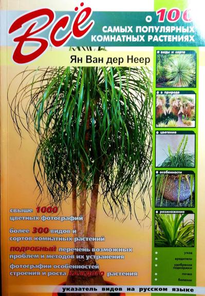 Все о 100 самых популярных комнатных растениях