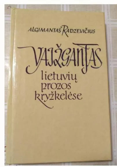 Vaižgantas lietuvių prozos kryžkelėse - Algimantas Radzevičius, knyga