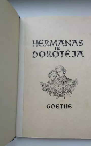 Hermanas ir Dorotėja - Johanas Volfgangas Gėtė, knyga 1