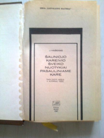 Šauniojo kareivio Šveiko nuotykiai