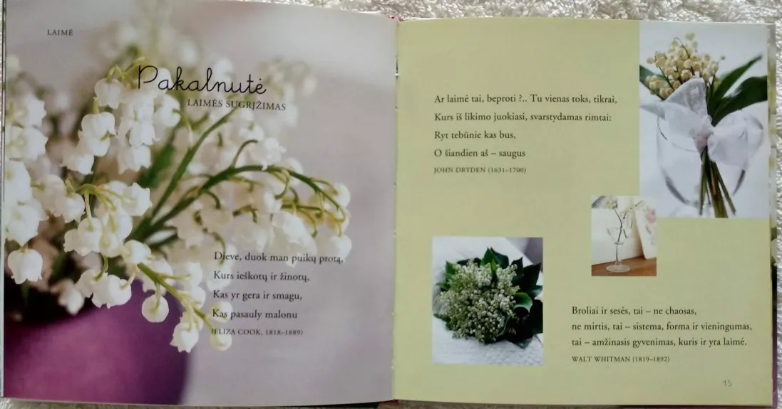 Gėlių kalba - Catherine Lee, knyga 1