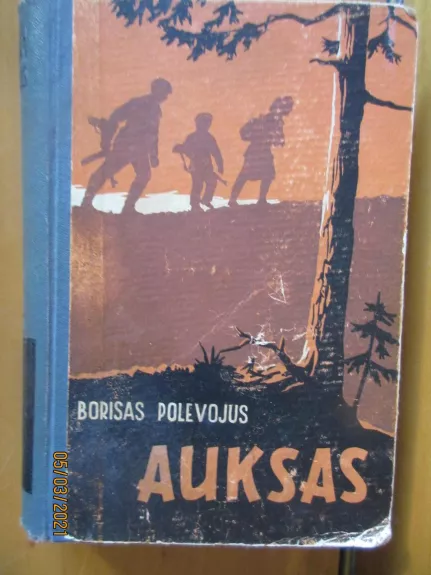 Auksas - Borisas Polevojus, knyga