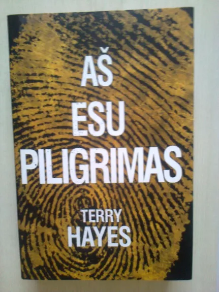 Aš esu Piligrimas - Terry Hayes, knyga