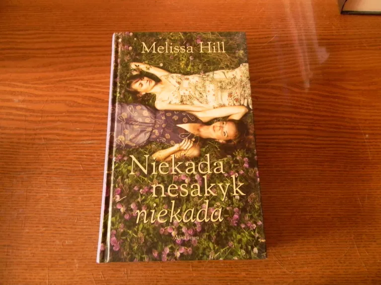 Niekada nesakyk niekada - Melissa Hill, knyga