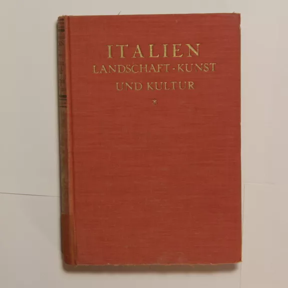 Italien - Landschaft, Kunst und Kultur - C. W. Schmidt, knyga