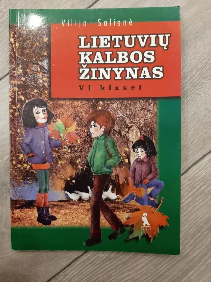Lietuvių kalbos žinynas VI klasei - Vilija Salienė, knyga