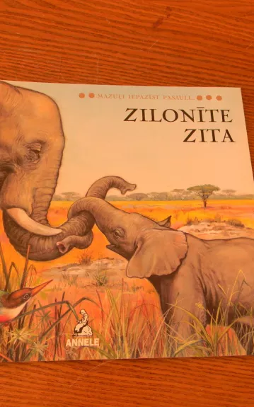 zilonite zita - Autorių Kolektyvas, knyga 1