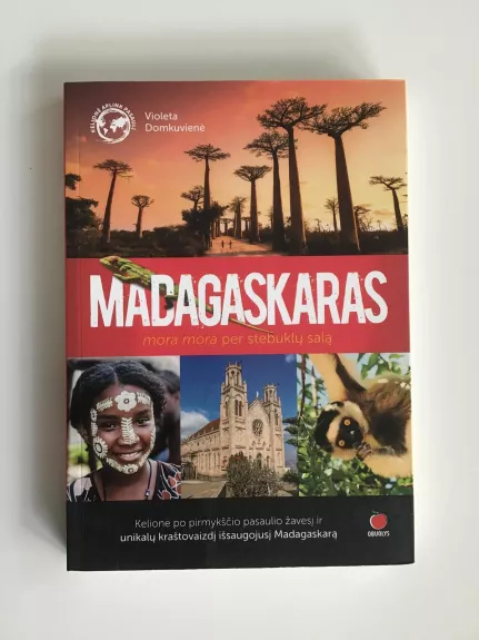 Madagaskaras - Violeta Domkuvienė, knyga