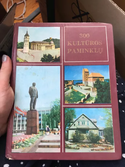 300 kultūros paminklų - Autorių Kolektyvas, knyga