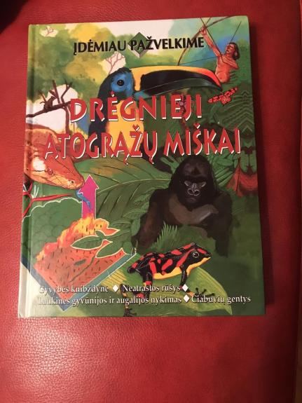 Drėgnieji atogrąžų miškai