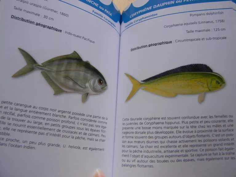poissons pelagiques - patrick durville, knyga 1