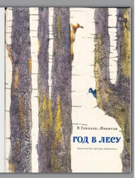 Год в лесу