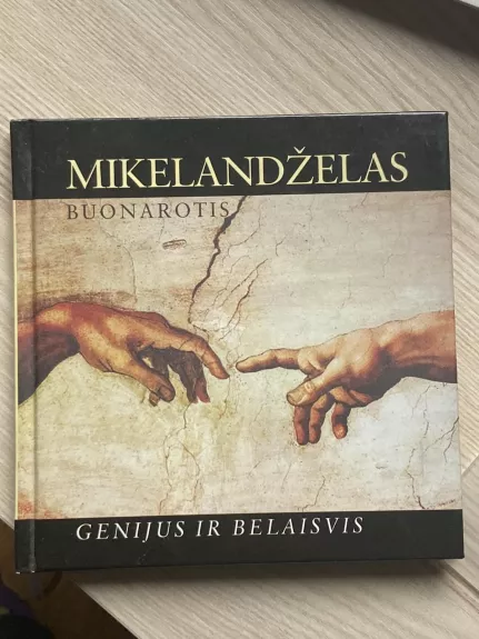 Mikelandželas Buonarotis: Genijus ir belaisvis - Raimonda Strodė, knyga