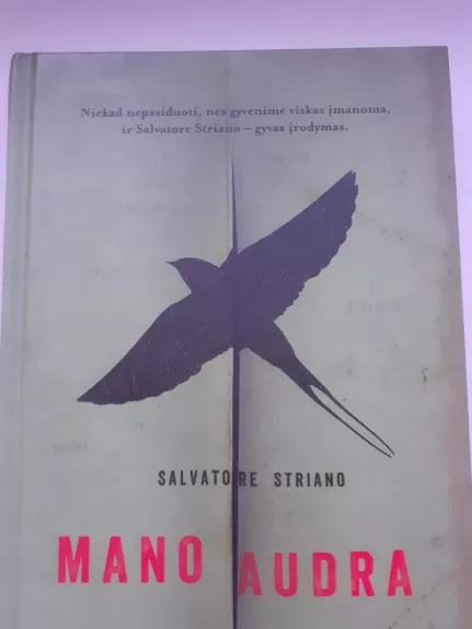 mano audra - Salvatore Striano, knyga