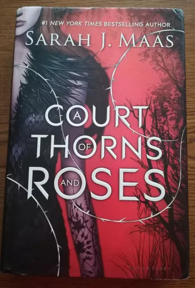 A Court of Thorns and Roses - Sarah J. Maas, knyga 1