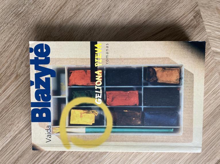 Geltona pieva - Vaida Blažytė, knyga