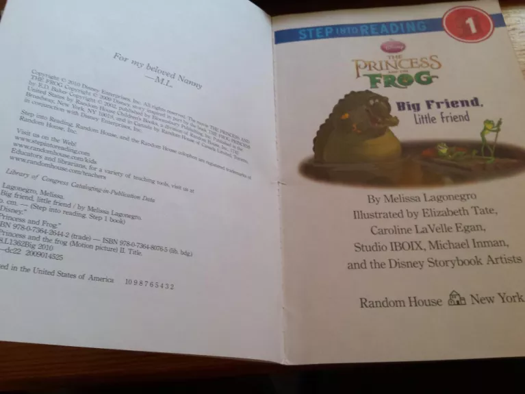 The Princess and the Frog - Autorių Kolektyvas, knyga 1