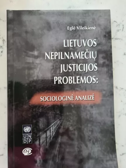 Lietuvos nepilnamečių justicijos problemos: sociologinė analizė - Eglė Vileikienė, knyga