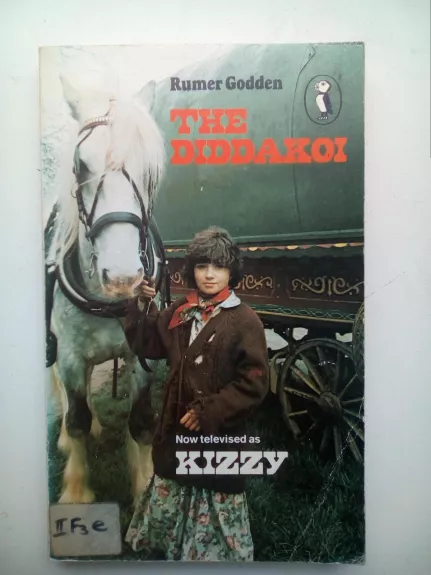 The diddakoi Now televised as Kizzy - Rumer Godden, knyga