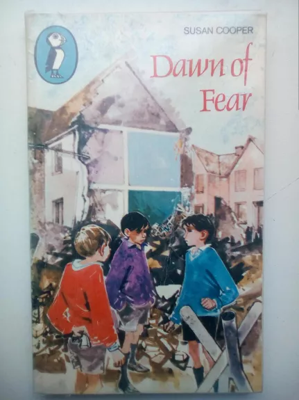 Down of fear - Susan Cooper, knyga