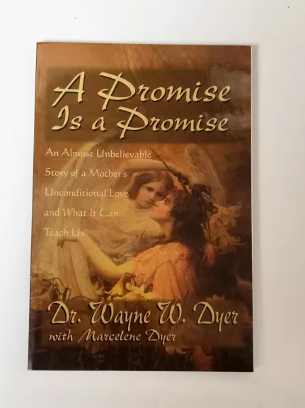 A Promise Is A Promise : An Almost Unbelieveable Story of a Mother\'s Unconditional Love and What It Can Teach Us