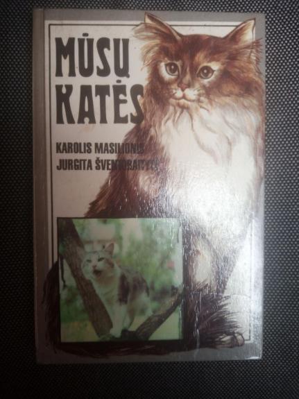Mūsų katės