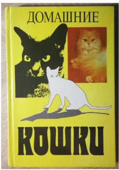 Домашние кошки