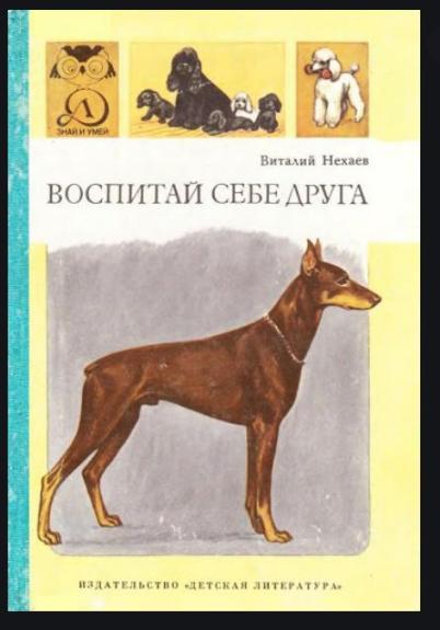 Воспитай себе друга