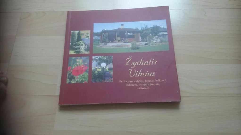 Žydintis Vilnius - Autorių Kolektyvas, knyga