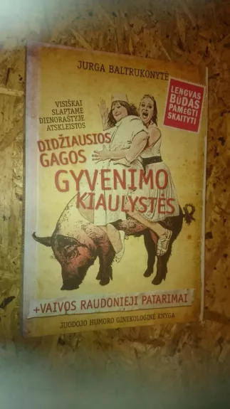 Didžiausios Gagos gyvenimo kiaulystės, atskleistos visiškai slaptame dienoraštyje