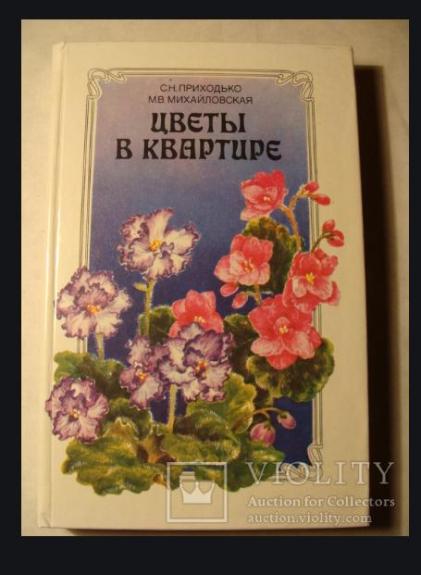 Цветы в квартире