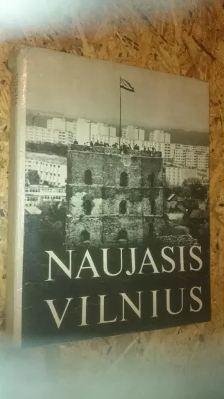 Naujasis Vilnius - Marius Baranauskas, knyga