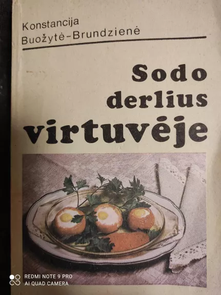 Sodo derlius virtuvėje - K. Brundzienė, knyga