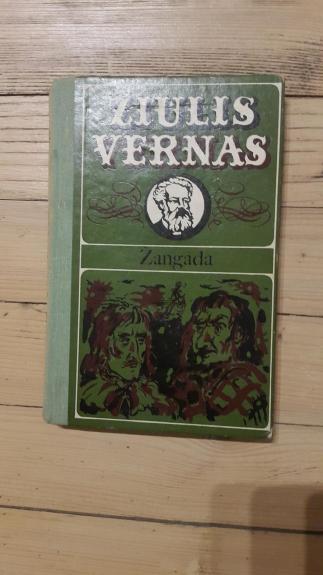 Žangada - Žiulis Vernas, knyga
