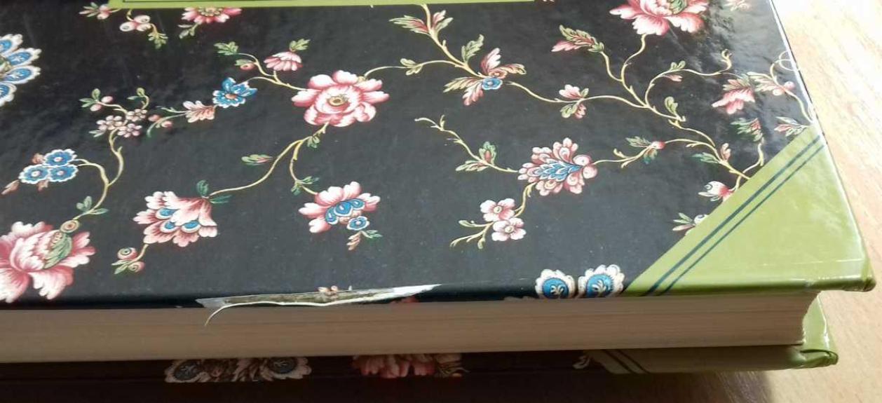 Íslenska kynlífsbókin