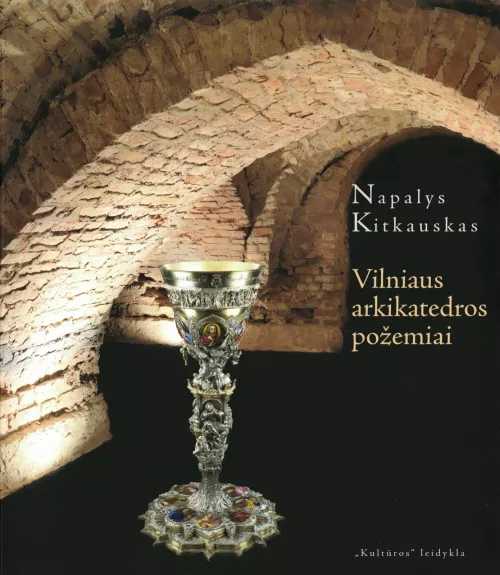 Vilniaus arkikatedros požemiai - Napalys Kitkauskas, knyga