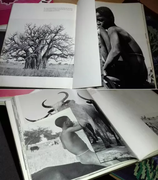 Navrongo: Ein Afrikabuch mit 108 Aufnahmen