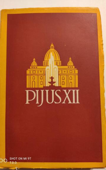 Pijus XII - Pranas Brazys MIC, knyga 1