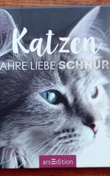 Katzen - Wahre Liebe schnurrt - Danielis Defo, knyga 1